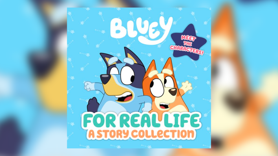 Read all about Bluey's adventures.