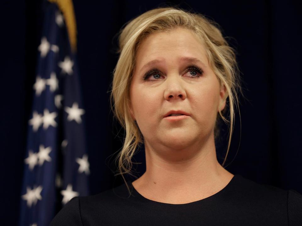 Amy Schumer gun control