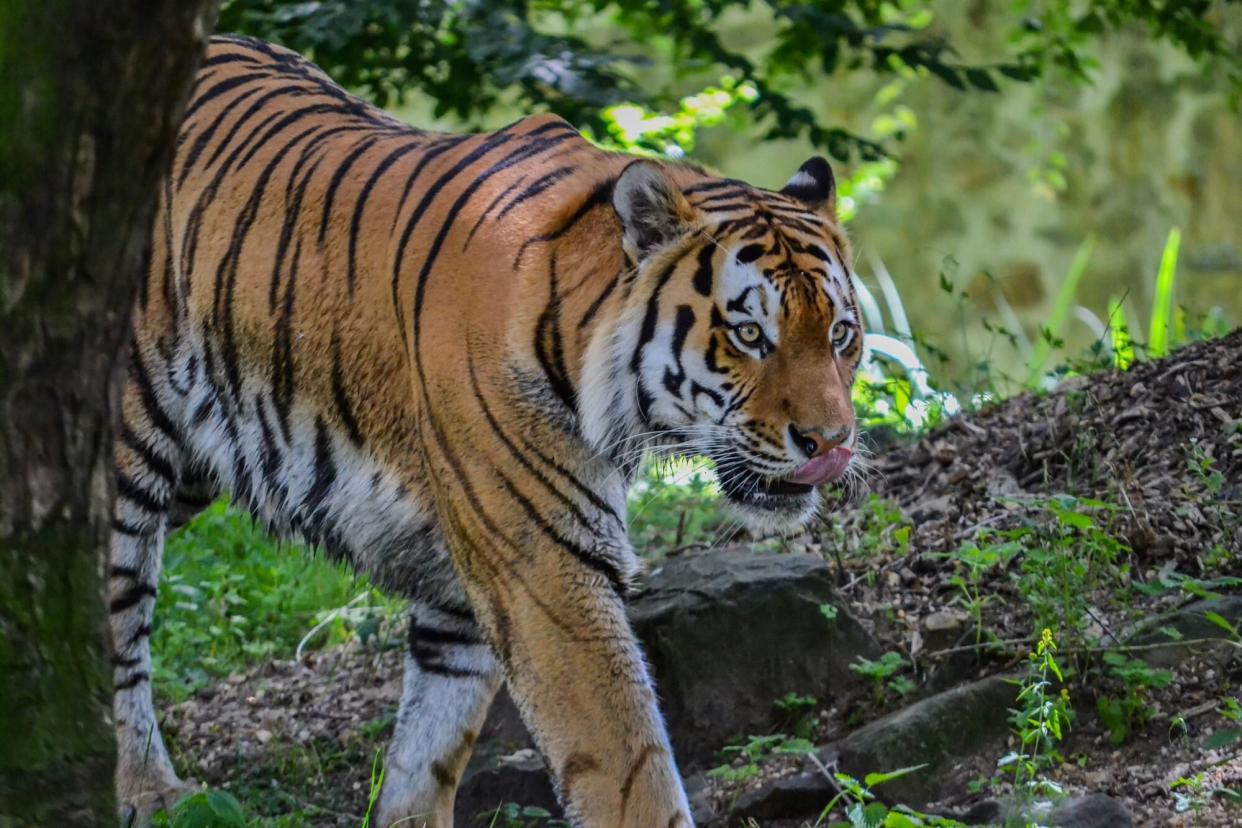 Photo taken in Nepal, Nepal