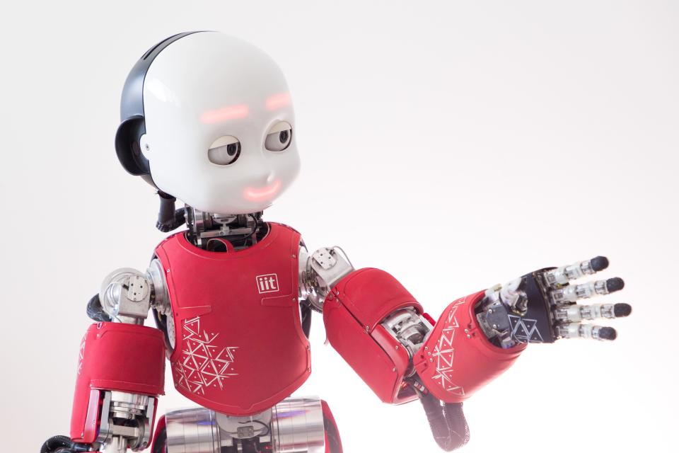 iCub, the Istituto Italiano di Tecnologia's research-grade humanoid robot.