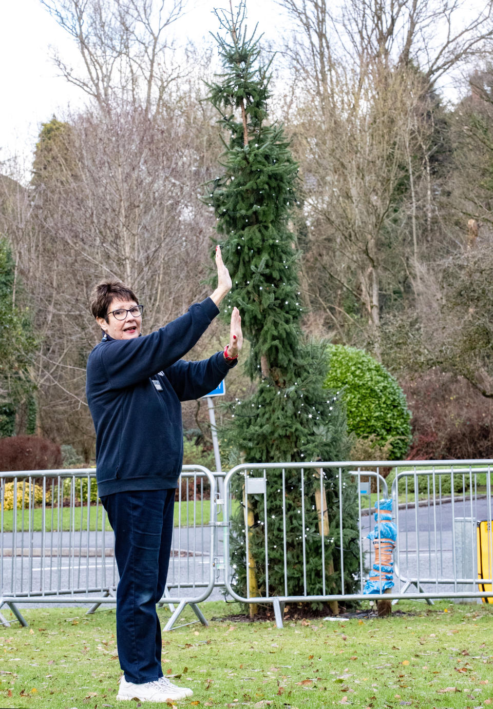 Zoe Gough holds her hands against the tree to show how wonky the fir is. (SWNS)