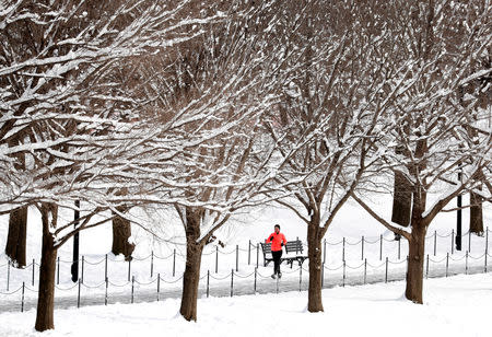 A jogger makes his way along the National Mall, following the weekend snowstorm, in Washington, U.S., January 14, 2019. REUTERS/Kevin Lamarque