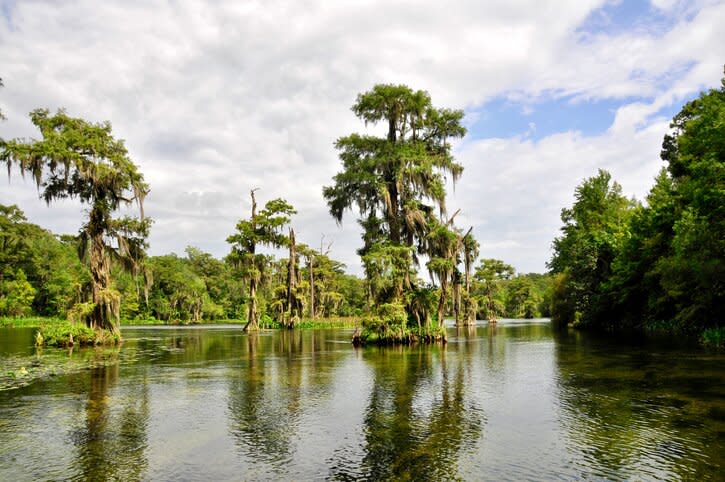 wakulla springs