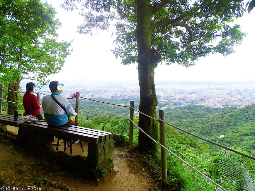 新北土城｜文筆山步道