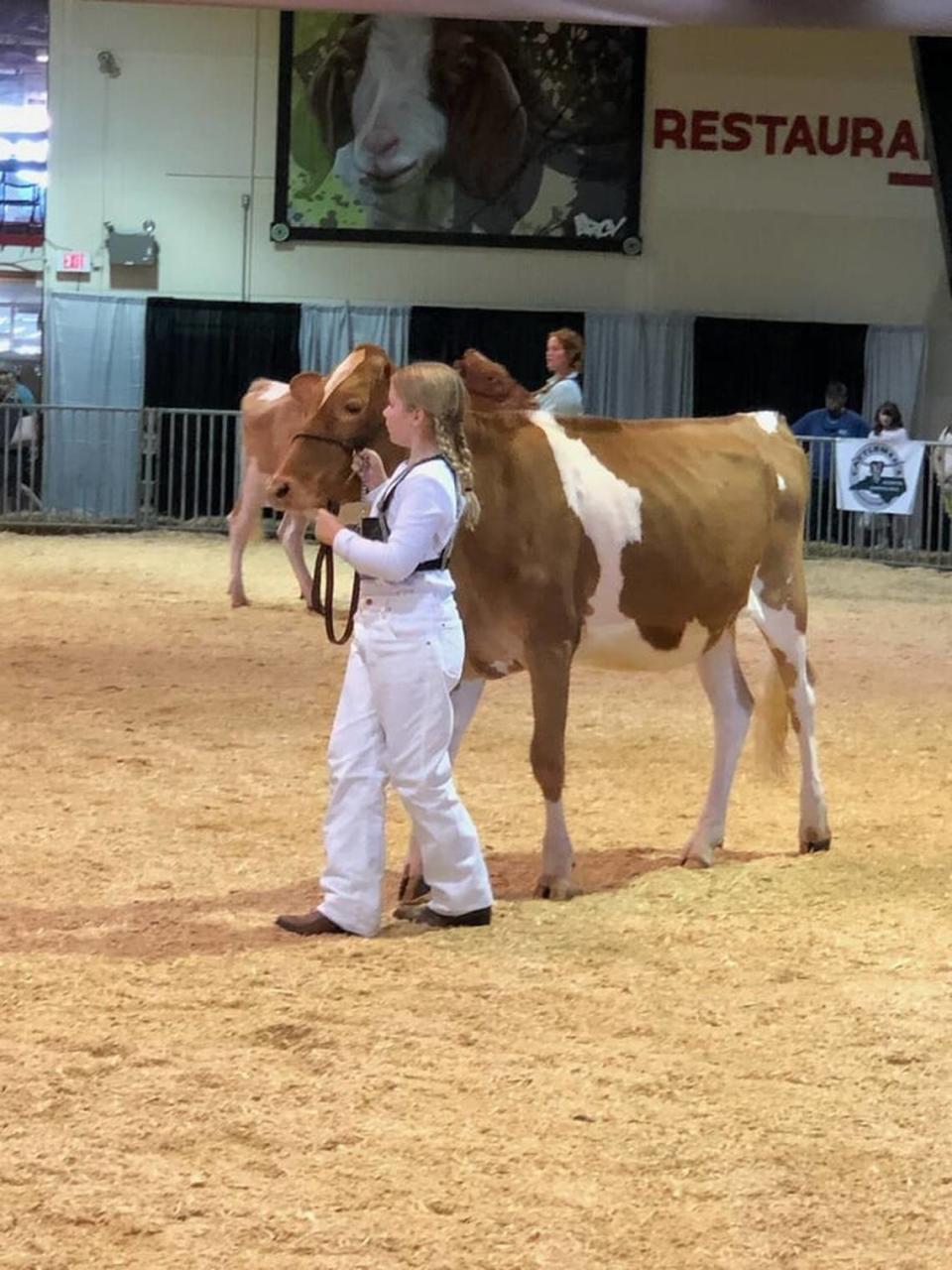 Ashley Bridges McMurry’s niece Stella and her cow at the 2021 N.C. State Fair.