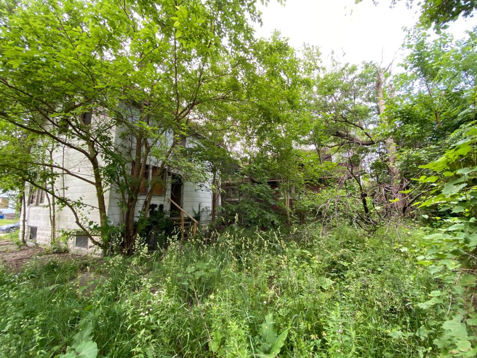 detroit land bank authority house number one covered in greenery