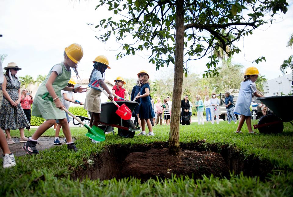 Students from Palm Beach Public, Palm Beach Day Academy and Rosarian Academy shovel dirt Thursday around a newly planted orange geiger at Park Avenue Park.