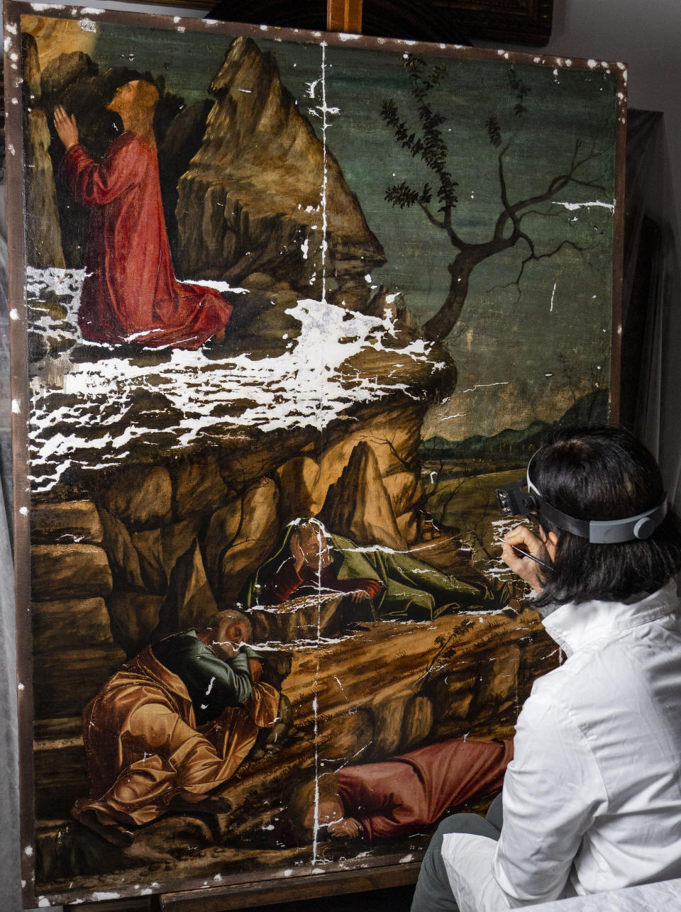 La restauradora Valentina Piovan trabaja en la pintura de Vittore Carpaccio "La agonía en el jardín" de 1502 en la Escuela Dálmata en Venecia, en el norte de Italia el 7 de diciembre de 2022. Una exposición de las pinturas de Carpaccio llegará a Venecia en marzo tras su paso por la Galería Nacional de Washington donde se presentará hasta el 12 de febrero de 2023. (Foto AP/Domenico Stinellis)