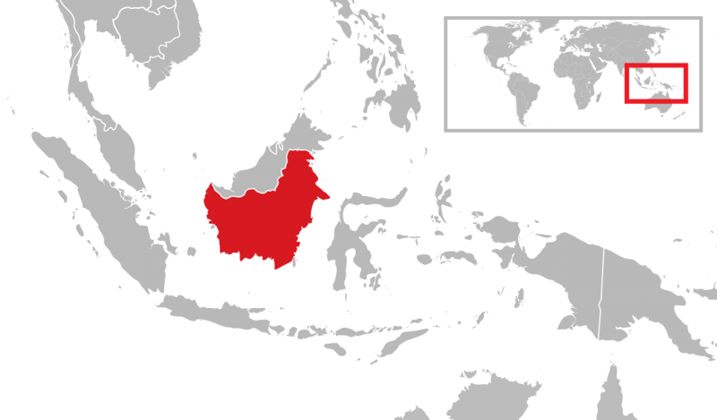 加里曼丹島地理位置。(Gunkarta@Wikipedia/ CC BY 3.0)