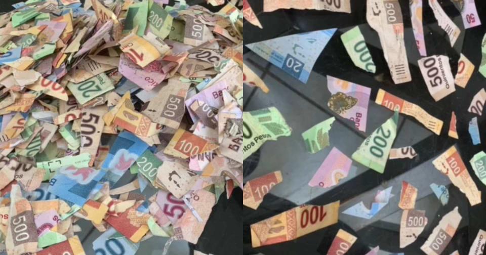 Su prima confundió sus ahorros con unos “papelitos de colores” y los recortó. Foto: Captura de video TikTok vía @alexander_cera