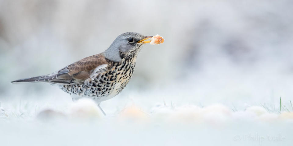 In pics: Flickr's top 25 photos of the year