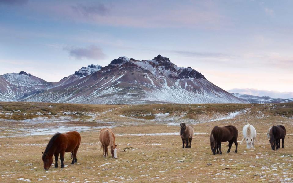 How to Travel to Iceland