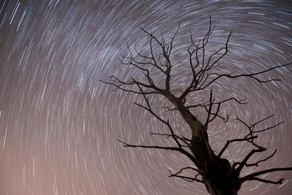 A long exposure photograph shows a tree standing under the starry sky during the Leonid meteor shower in Villanueva de la Pena, Spain, on Nov. 15, 2017.