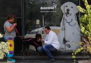 Veterinary clinic encourages people not to abandon their pets, amid concerns about the spread of the coronavirus disease (COVID-19), in Cairo