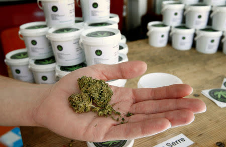 Paul Monot, co-founder of Dr Green, holds dried cannabis in his shop in Lausanne, Switzerland March 17, 2017. REUTERS/Denis Balibouse