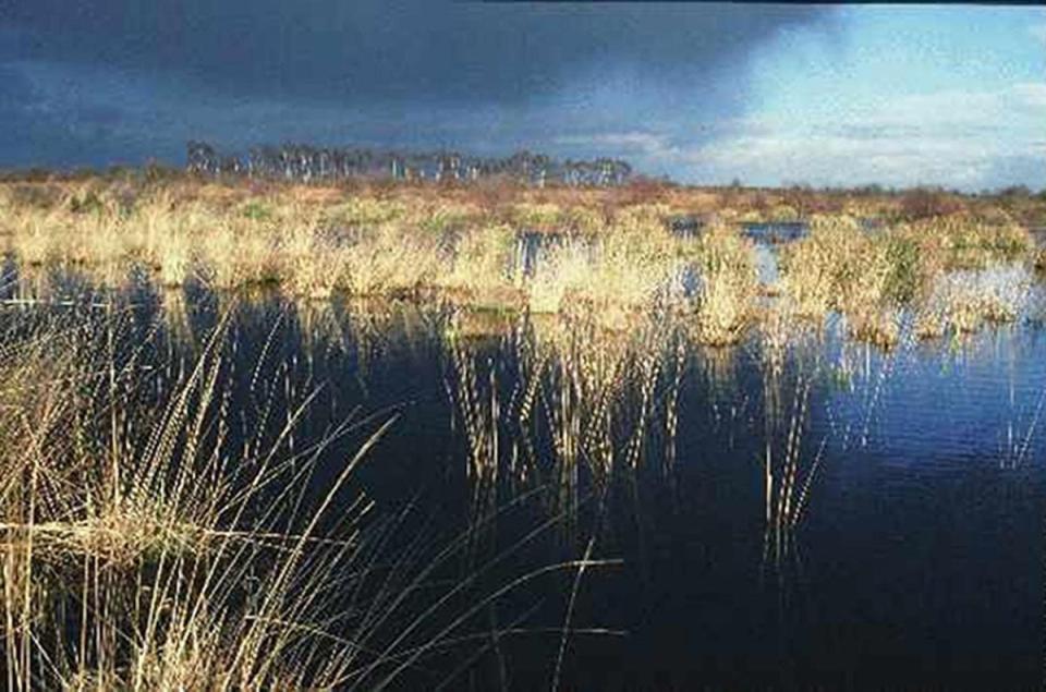 The Humberhead Peatlands National Nature Reserve (Natural England/PA) (PA Media)