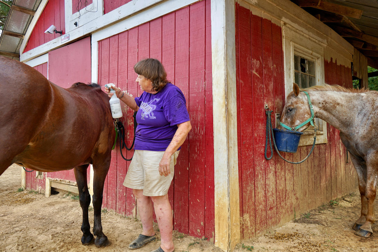 Betsy Irmischer, sprays her horses down with water due to the excessive heat and lack of access to water  at her home in Lamar, Mississippi in Marshall County on Aug. 3, 2023.          (Vanessa Charlot for NBC News            )
