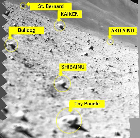 a black and white image of the moon's surface with various dog breed labels, symbolizing the relative sizes of the rocks