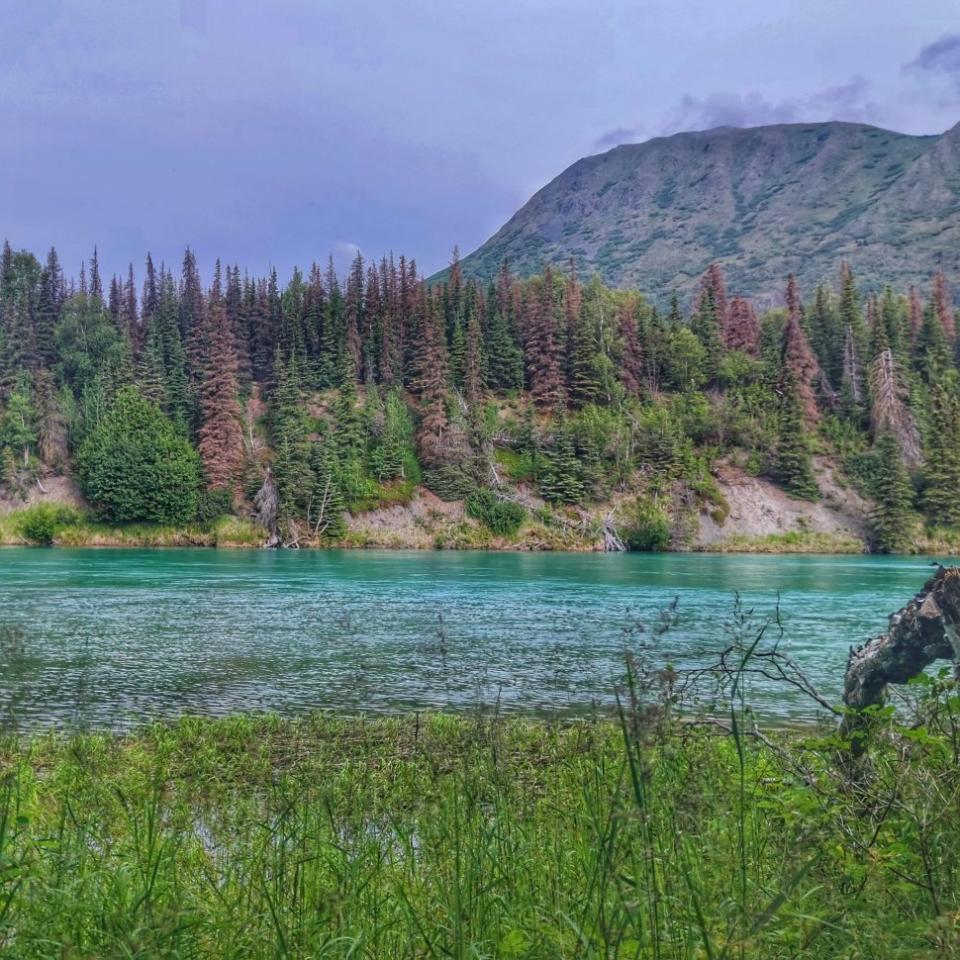 Seward The Tropics Of Alaska