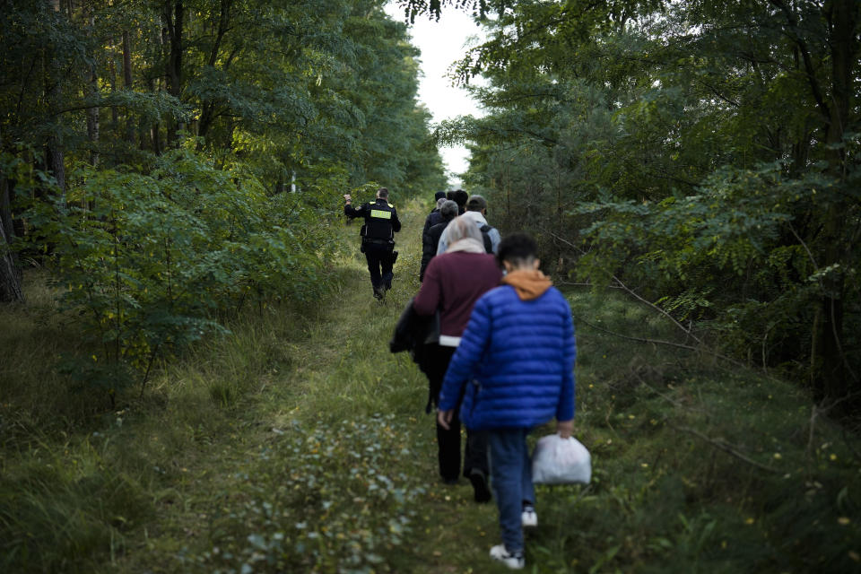 Police officer Frank Malack escorts a group of migrants who illegally crossed the border from Poland into Germany during a patrol in a forest near Forst southeast of Berlin, Germany, Wednesday, Oct. 11, 2023. (AP Photo/Markus Schreiber)