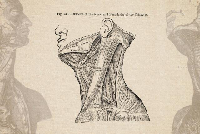 Giga Chad has awful body/neck posture : r/Mewing