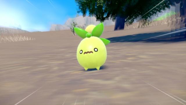 Introducing a Newly Discovered Pokémon! — The Hidden Treasure of