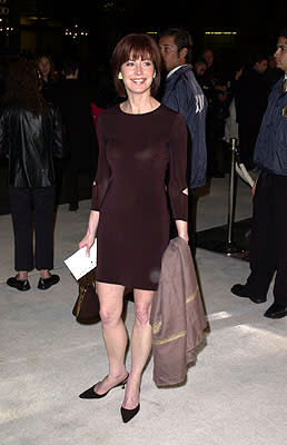 Dana Delany at the Hollywood premiere of New Line's Blow