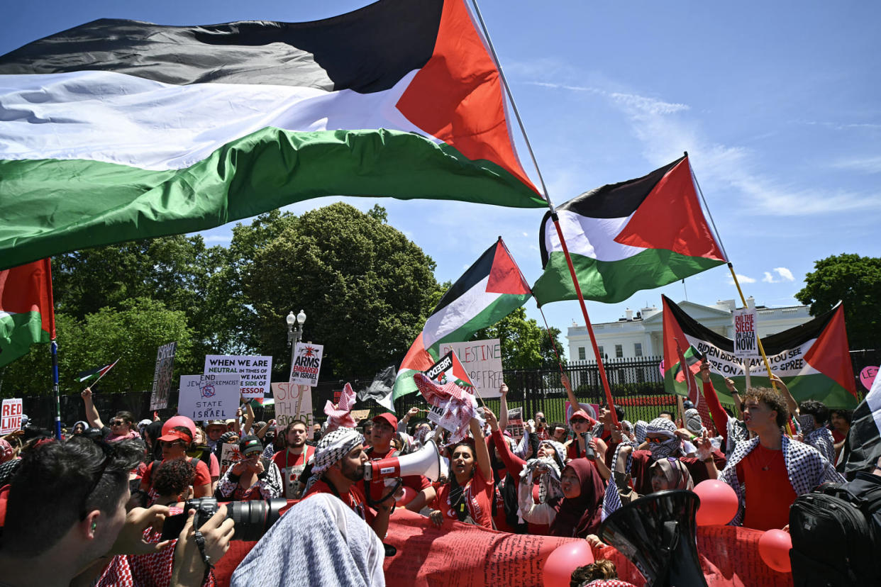 Pro-Palestinian demonstrators rally Israel's actions in Gaza (Mandel Ngan / AFP via Getty Images)