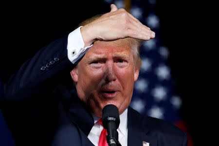 Republican presidential nominee Donald Trump speaks at a campaign rally in Scranton, Pennsylvania, U.S., July 27, 2016. REUTERS/Carlo Allegri