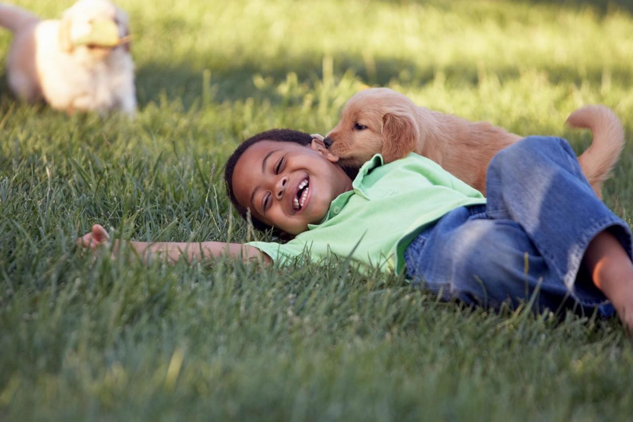 puppy kissing boy who is laying in grass