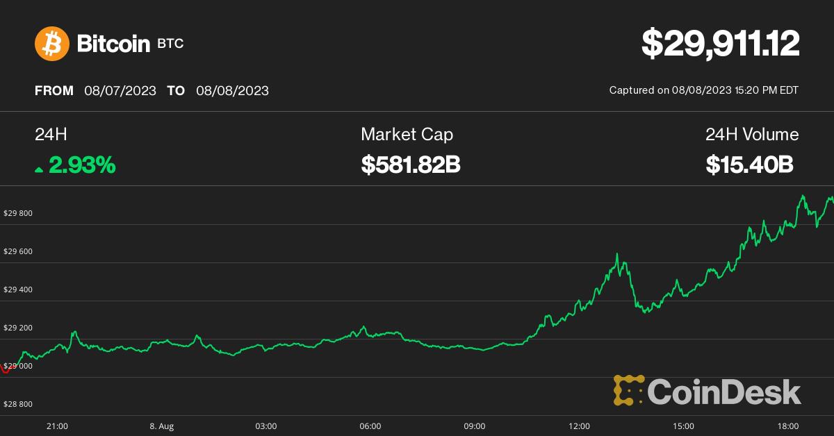 The Million Dollar Bet on Bitcoin - The Defiant