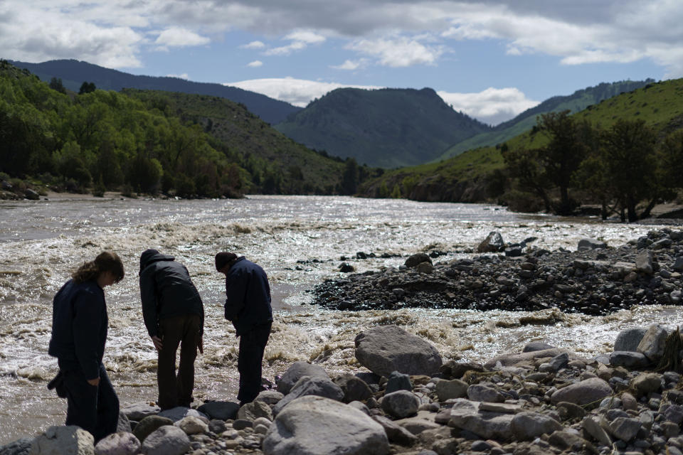 Residents walk along the shore of the elevated Yellowstone River in Gardiner, Mont., which sits at the entrance to Yellowstone National Park, Wednesday, June 15, 2022. Historic floodwaters that raged through Yellowstone National Park may have permanently altered the course of a popular fishing river and left the sweeping landscape forever changed. (AP Photo/David Goldman)