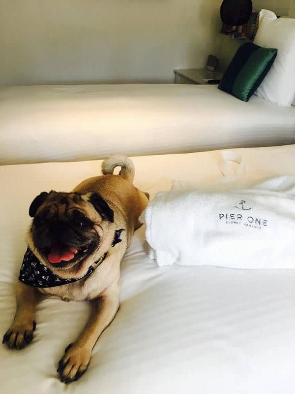 Winston loving his Waterside Deluxe room with a view. Photo: Be