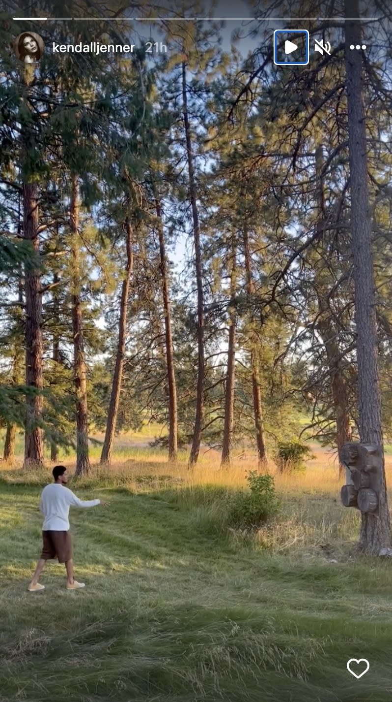 Devin stands in a grassy field and throws an ax toward a target on a tree