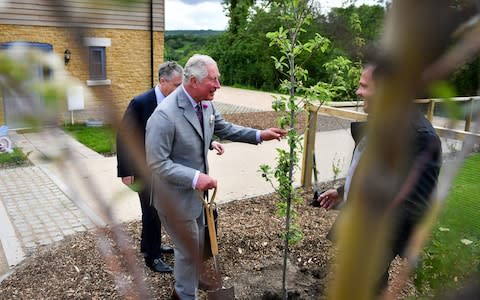 Prince Charles is a lifelong champion of the environment - Credit: PA