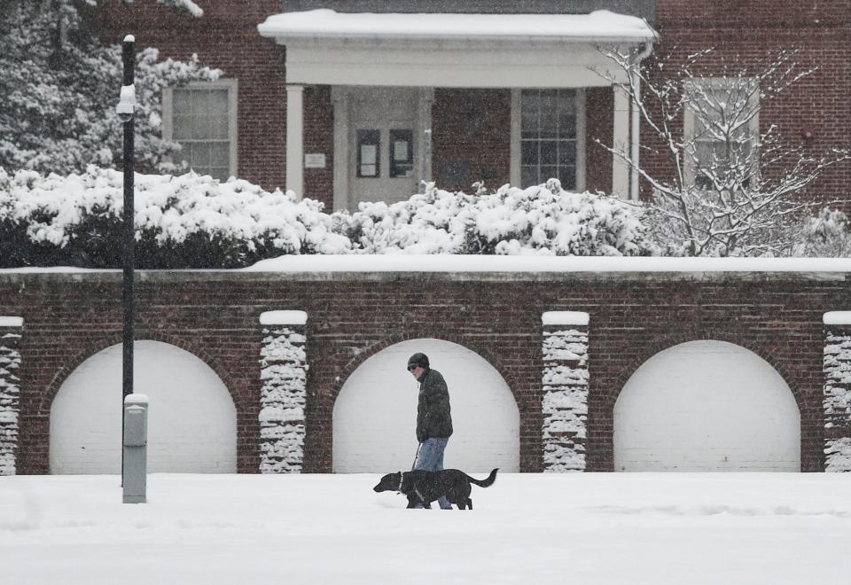 A dog walker is framed by the north end of The Green at the University of Delaware in Newark under a coating of snow Friday afternoon, January 19, 2024.