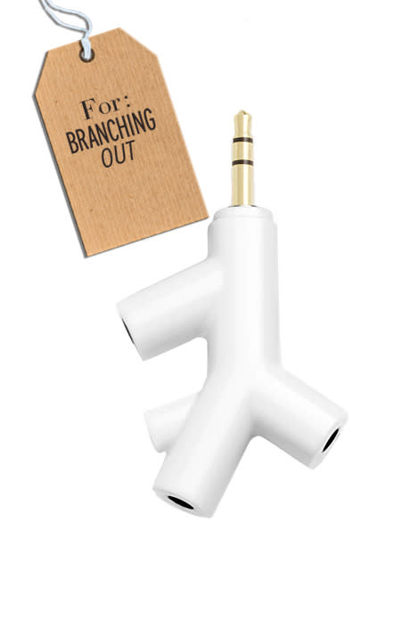 Branch earphone splitter