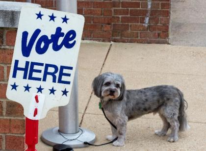 A dog is tied up outside the polling station as its owner votes on November 4, 2014 in Alexandria, Virginia, shortly after the polls opened for the midterm US elections (AFP Photo/Paul J. Richards)