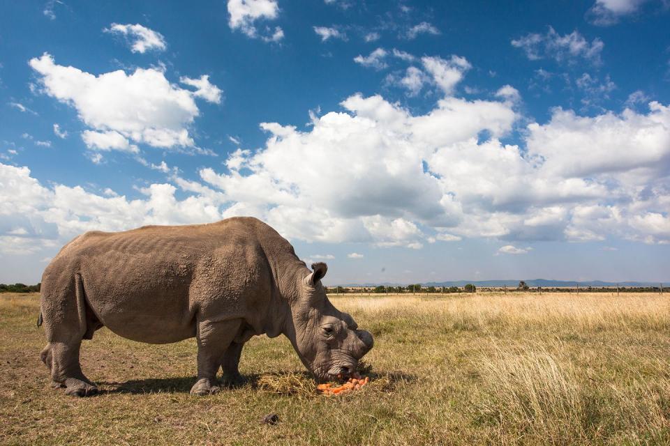 Photo credit: Ann and Steve Toon / Alamy Stock Photo