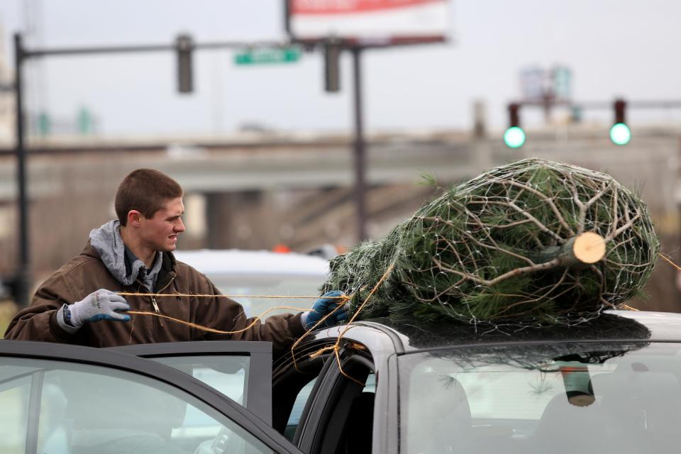 Travis Foster loads up a Christmas tree while working at Christmas Tree Lane at the waterfront in downtown Louisville. Dec. 16, 2014.