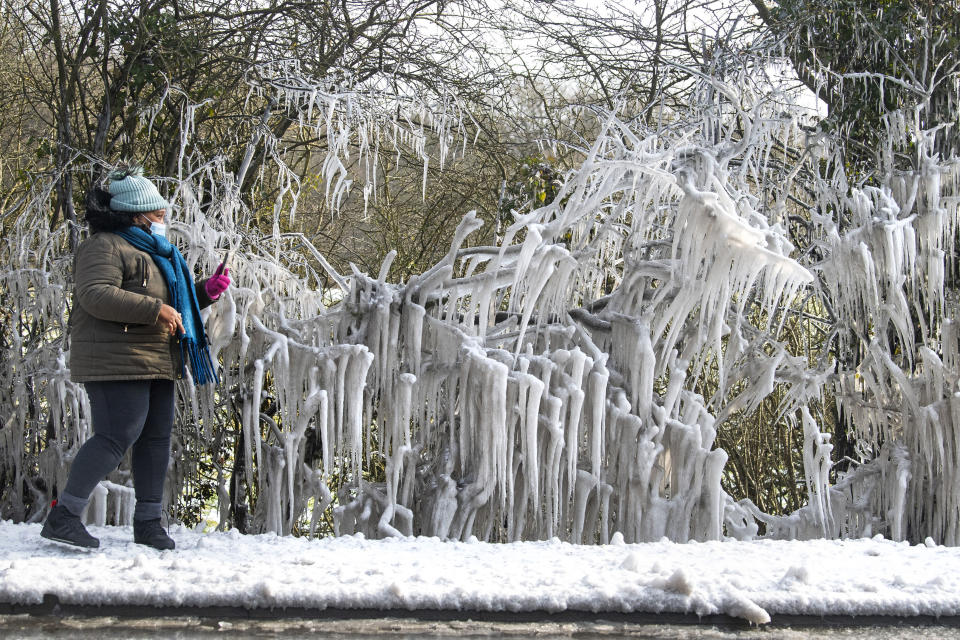 A woman takes a photograph of icicles hanging from branches in Epping Forest on the edge of London as the cold snap continues to grip much of the nation, Thursday Feb. 11, 2021. Overnight temperatures dropped below freezing overnight. (Victoria Jones/PA via AP)