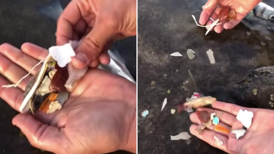 A video of a man emptying the contents of a fish's stomach has angered people, and not just because of the amount of plastic. Source: Lancelot Medios/Facebook