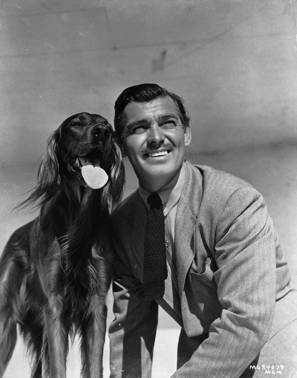 <p>Actor Clark Gable is photographed with his beloved Irish Setter, Queen, in 1941. The animal lover also owned horses at his ranch in Encino, California. </p>