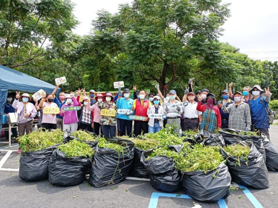 屏東林管處在新來義社區周邊舉辦小花蔓澤蘭及香澤蘭防治移除與收購宣導活動，成效豐碩。（記者鄭伯勝攝）