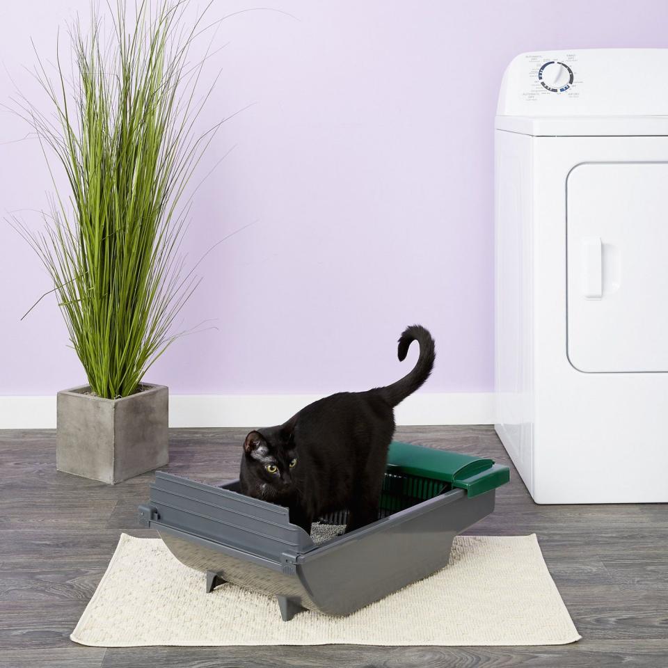 1) Smart Scoop Automatic Self-Cleaning Cat Litter Box