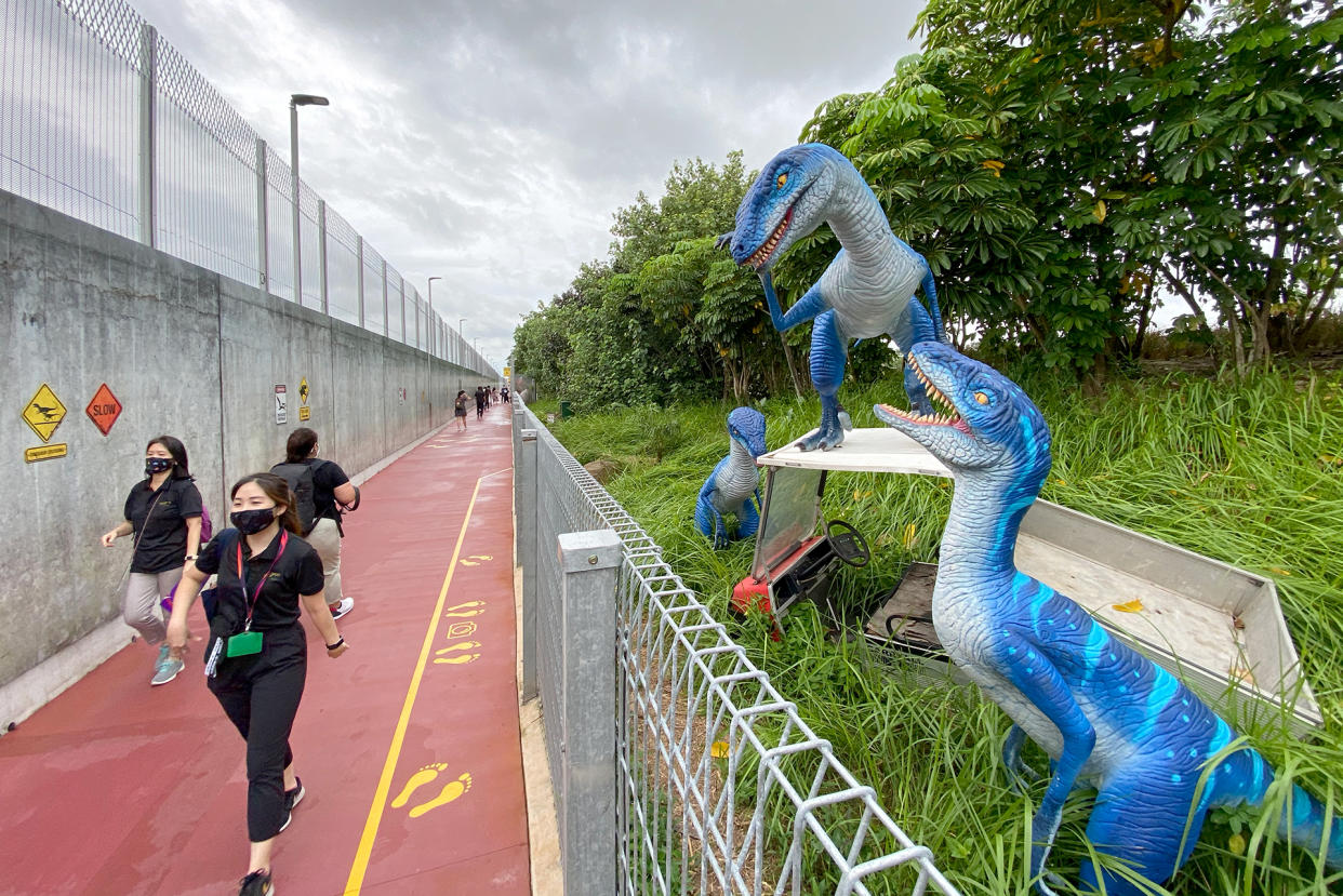 Velociraptors seen on display along the "Jurassic Mile" segment of the newly opened Changi Airport Connector on Sunday (11 October). (PHOTO: Dhany Osman / Yahoo News Singapore)