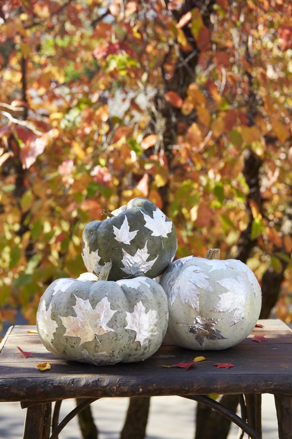 <p>These DIY shimmering leaves look great on blue-hued or green pumpkins such as Jarrahdale, Blue Doll, Blue Moon, and Fairytale.</p><p><strong>To make:</strong> Attach silver leaf with sizing to one side of fake or real leaves (alternatively, you can spray paint leaves silver). Once dry, spray adhesive spray on the back of the leaves and attach to pumpkins.</p>