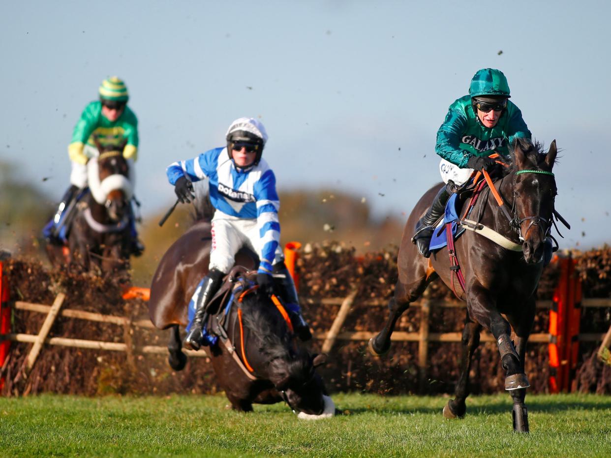 Horse racing fall hurdle