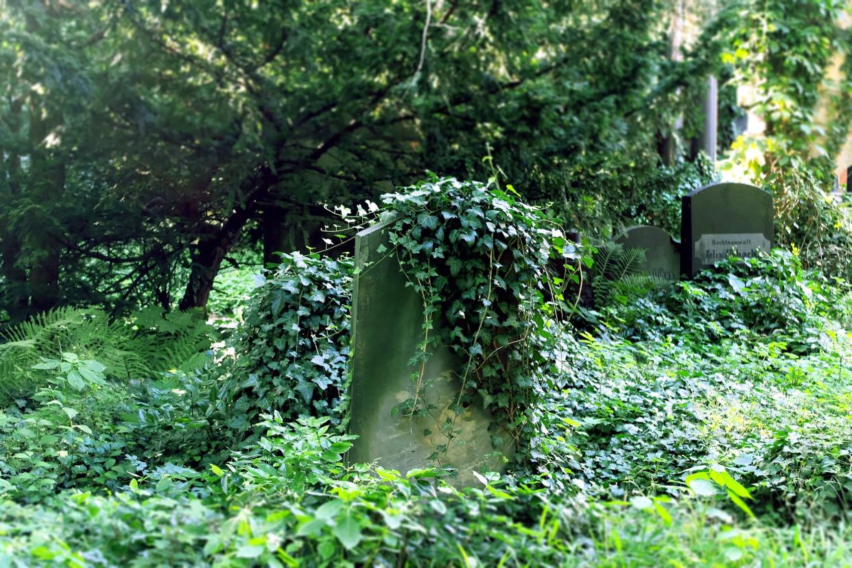 Garden of Hope Cemetery, Mississippi