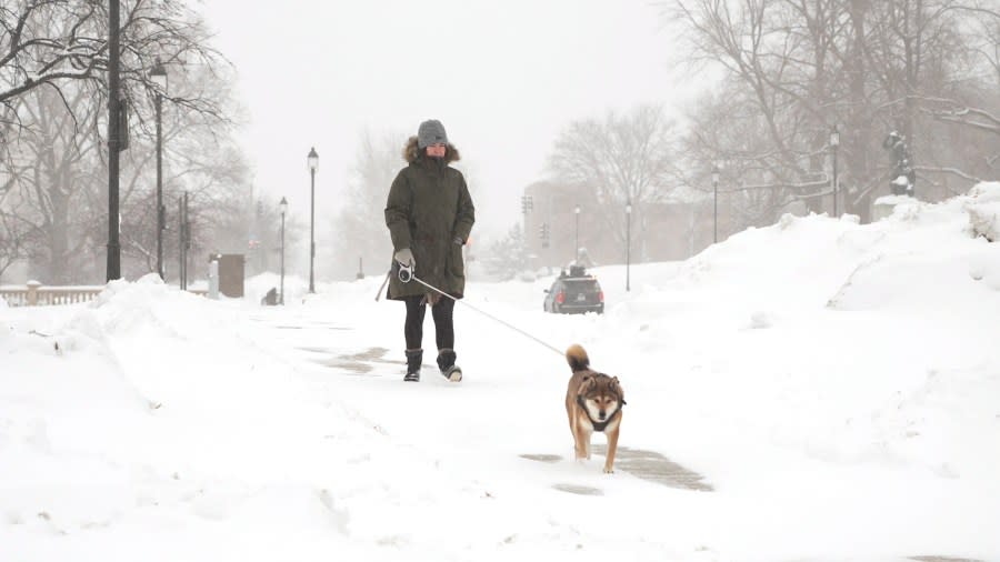 Jillian McKee walks her her dog “Bear” as snow falls in Des Moines, Iowa, on Friday, Jan. 12, 2024. (AP Photo/Mark Vancleave)